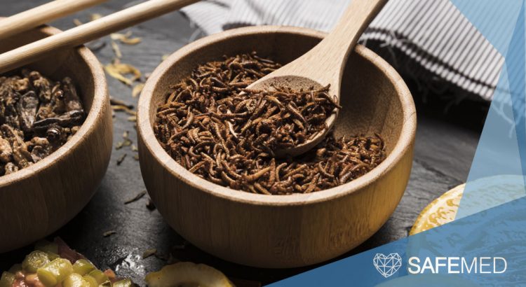 insetos alimento futuro